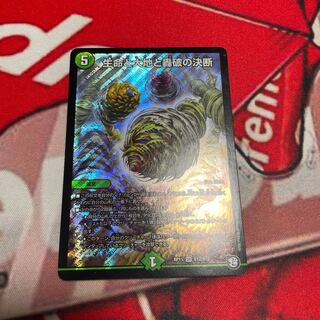 Life, Earth, and the Decision to Roar Back