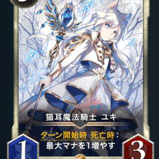 猫耳魔法騎士 ユキ