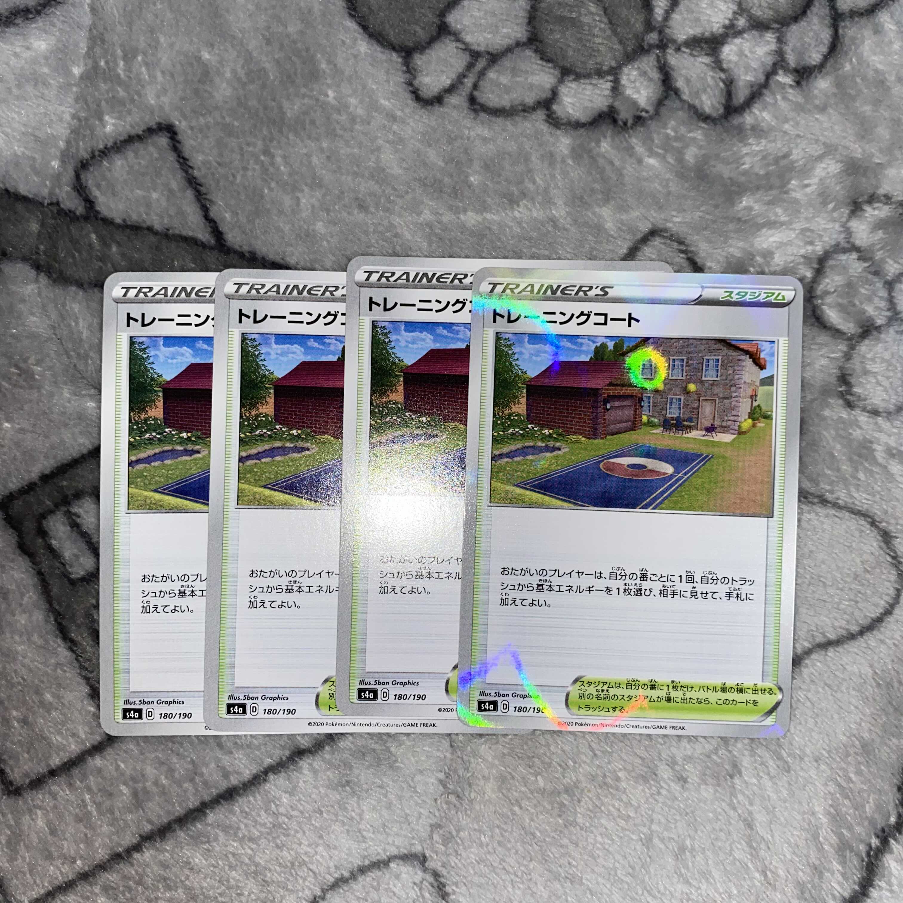 Pokéca Training Court