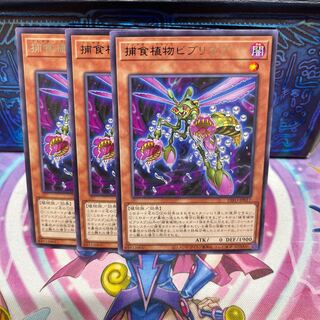 捕食植物ビブリスプ 【レア】×3