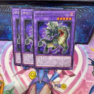 捕食植物アンブロメリドゥス 【レア】×3