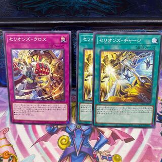 Serion's Charge, Serion's Cross