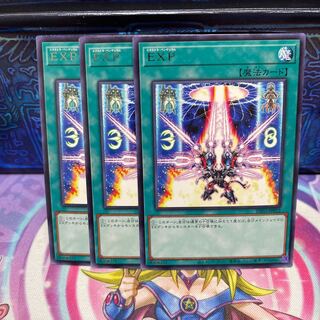 P屋　EXP 【レア】×3