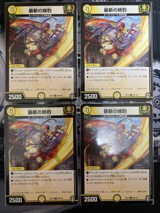 Sister leopard of the slayer 4 pieces