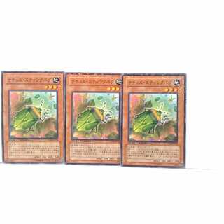 Naturia Stinkbug 3 piece set, Yu-Gi-Oh, Mute, Rare, Normal
