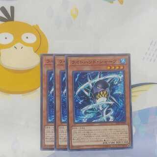 575 Light Hand Shark 3pcs Salmon Ikura Shop