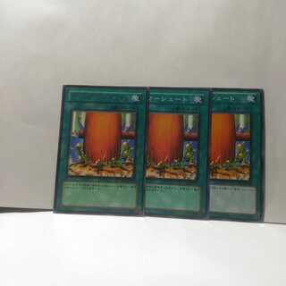 ハンマーシュート/レア ハンマーシュート/レア 遊戯王】 ハンマーシュート SOD(401