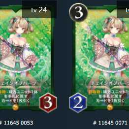 本日限定値引きチェインオブハーツ2枚双方レベル24