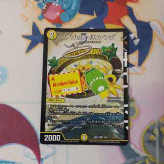 Liliang, the light of riddles, one piece