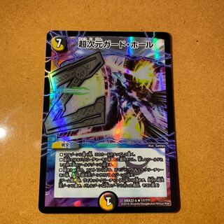 超次元ガードホール