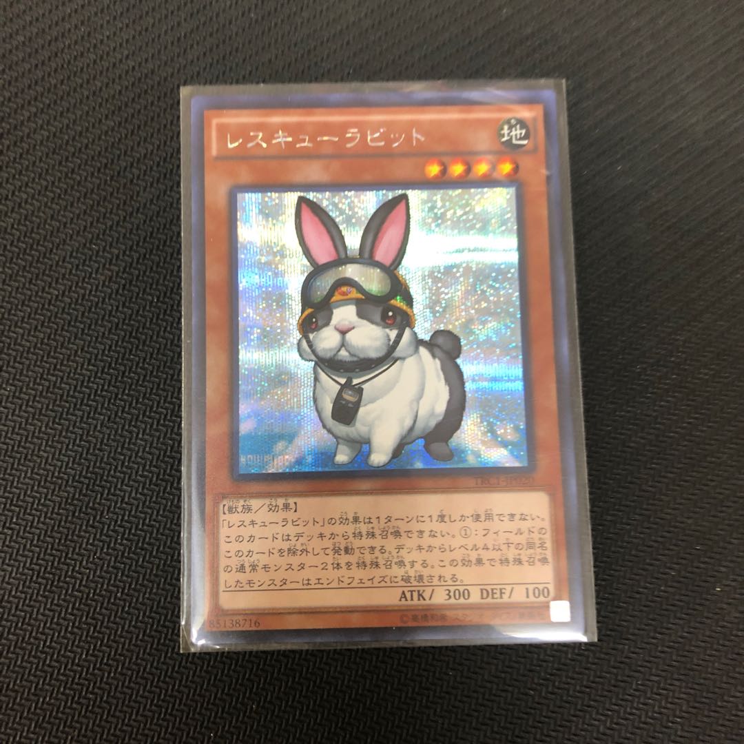 Yu-Gi-Oh Rescue Rabbit Secret