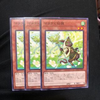 Matatabi Sen Raccoon Normal 3 sheets Mahoko