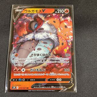 VolcaronaV 4 items in stock