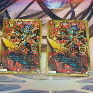 Two branded "Punishment Rage."