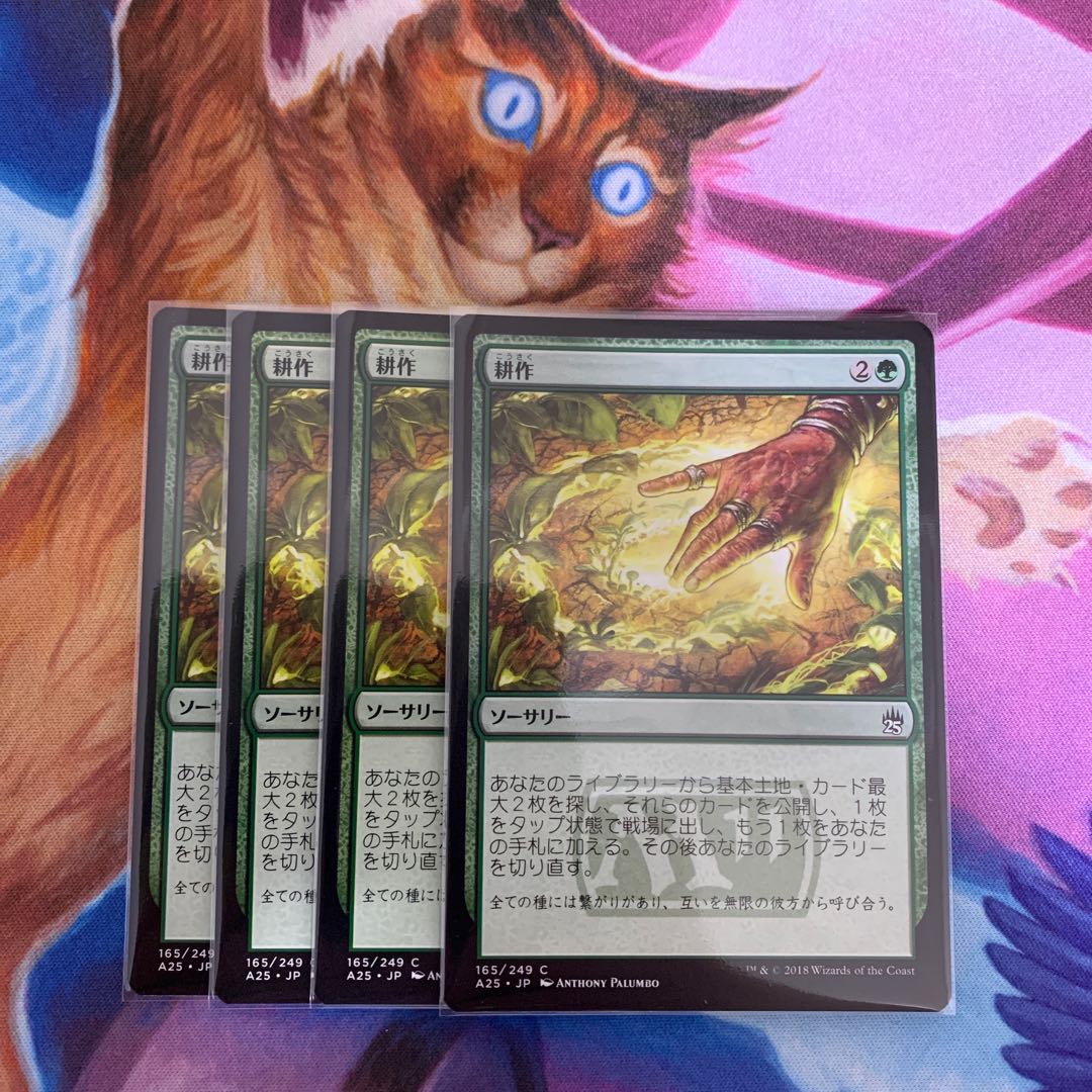 Cultivate Japanese 4 copies