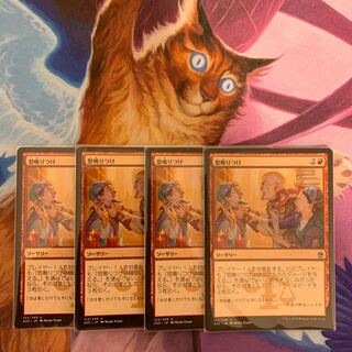 怒鳴りつけ　日本語　4枚