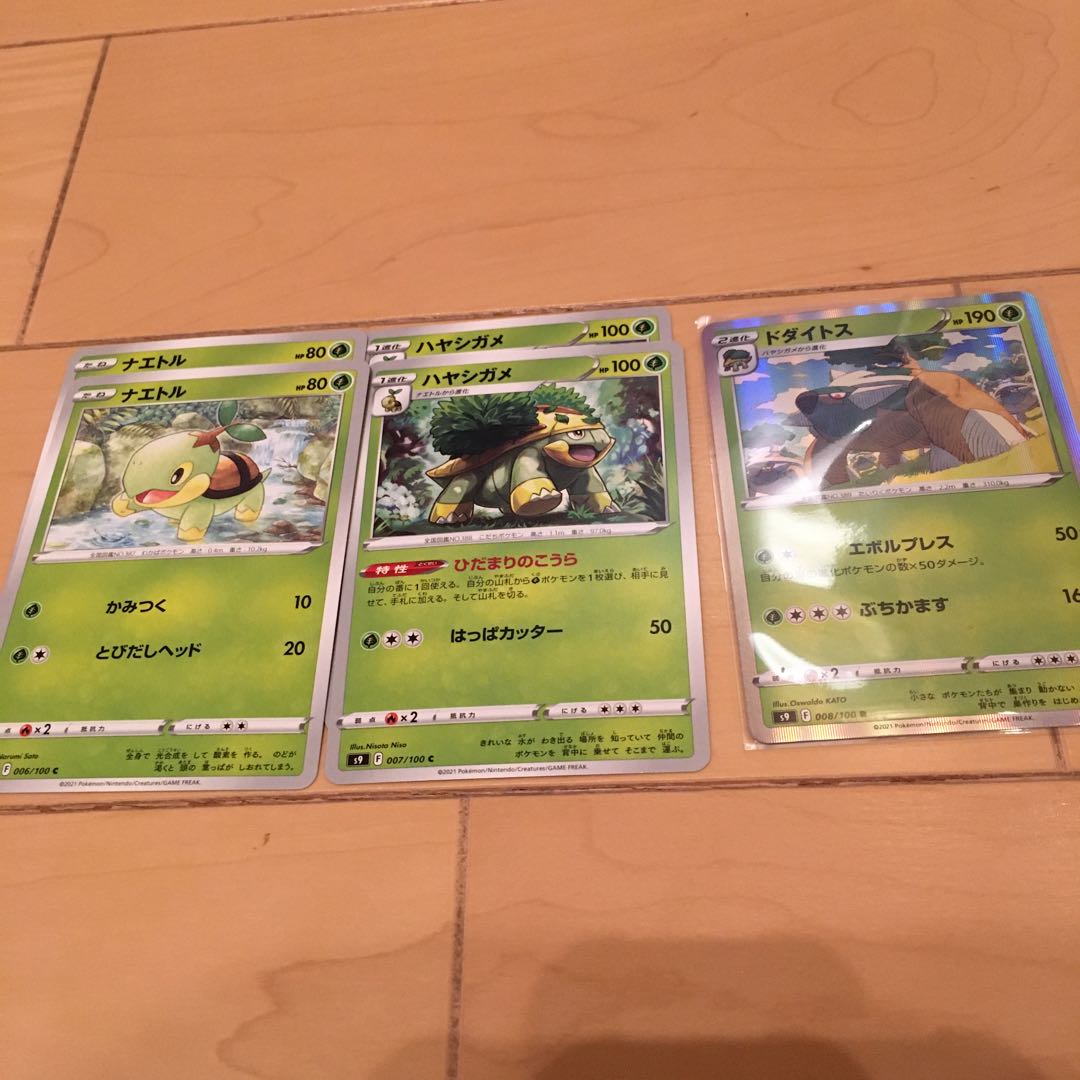 Torterra Starburst Set