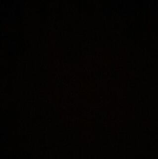 専用 グズマハラ1.こんとん1