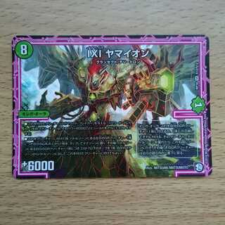 ヤマイオン 1枚