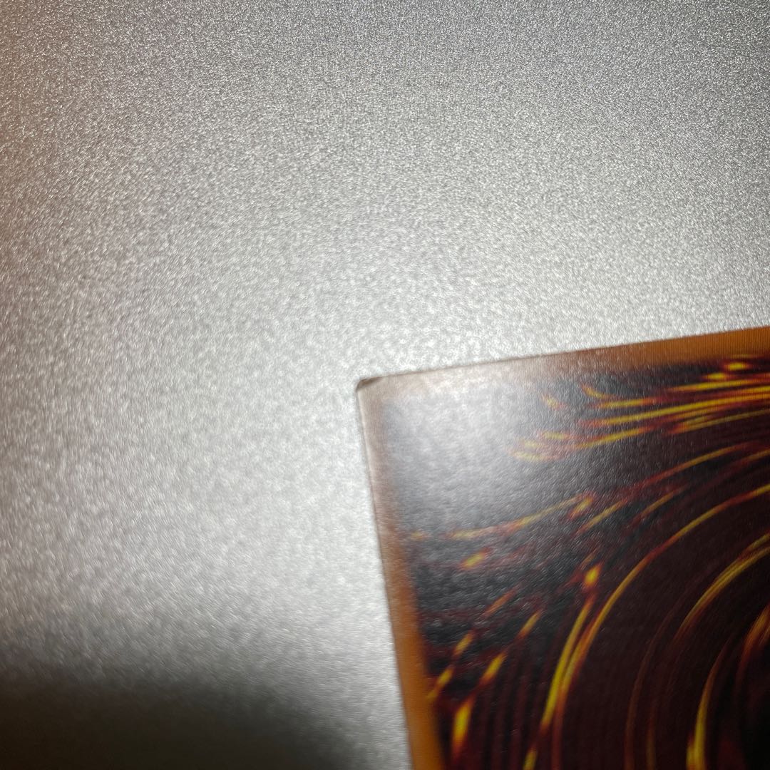 Exorcists Magnifica Sikh & Ur