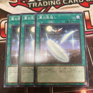 Limited Discount!　Wing Requital Normal 3pcs