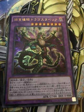 Predaplant Dragostapelia Ultra Rare