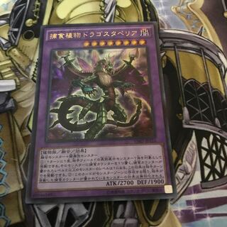 Predaplant Dragostapelia Ultra Rare