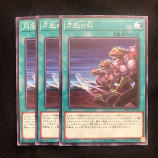 Ties of the Brethren, 3 normal, Mahoko.