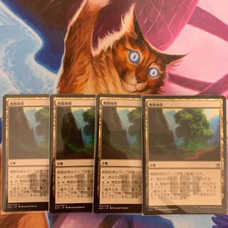 Myriad Landscape Japanese 4 copies 4枚