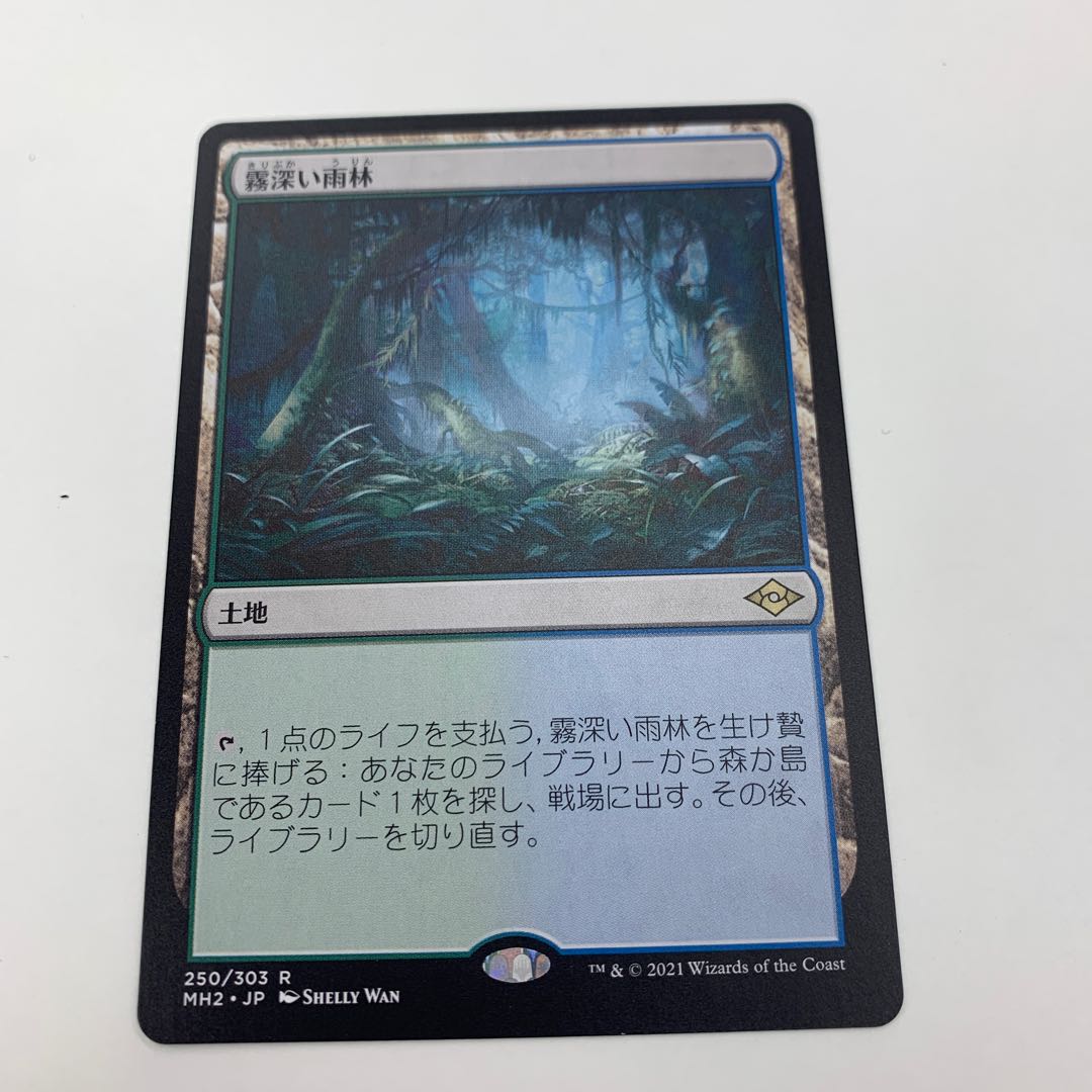 Price discount available Misty Rainforest