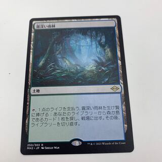 Price discount available Misty Rainforest