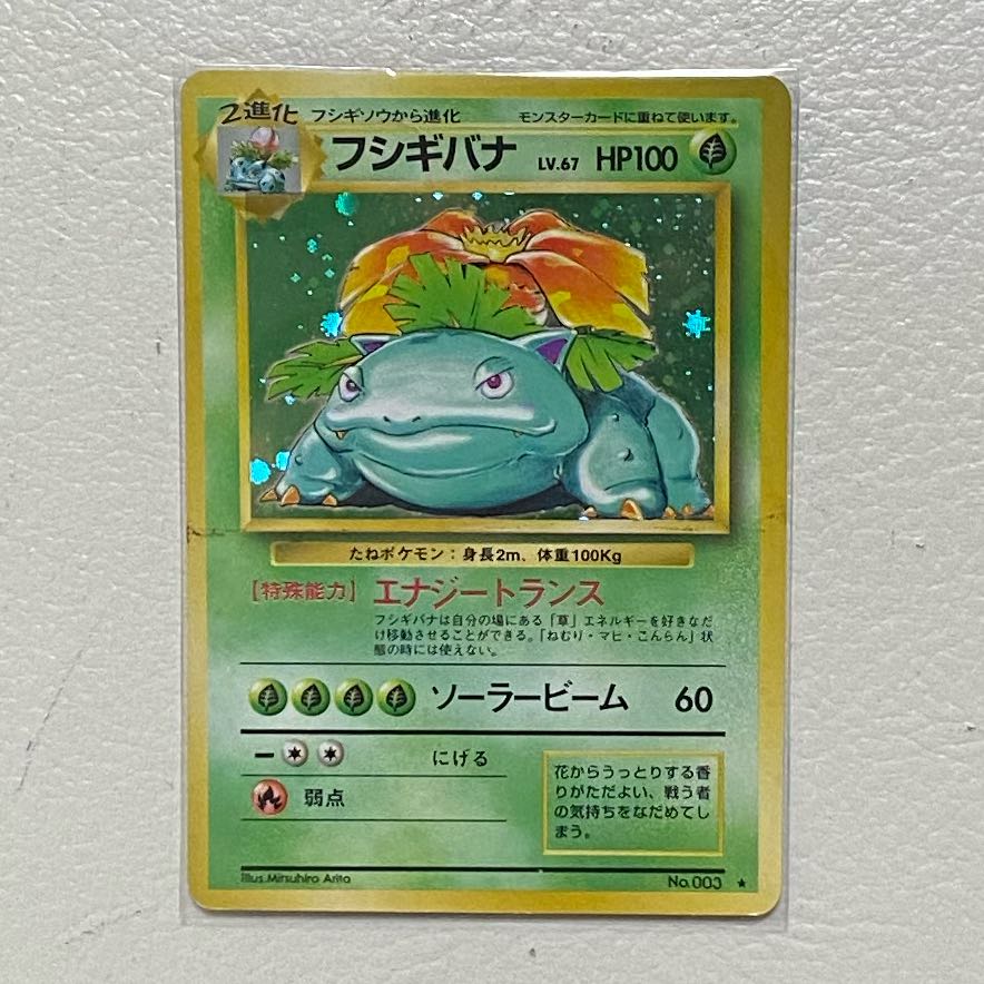 Venusaur Old Back