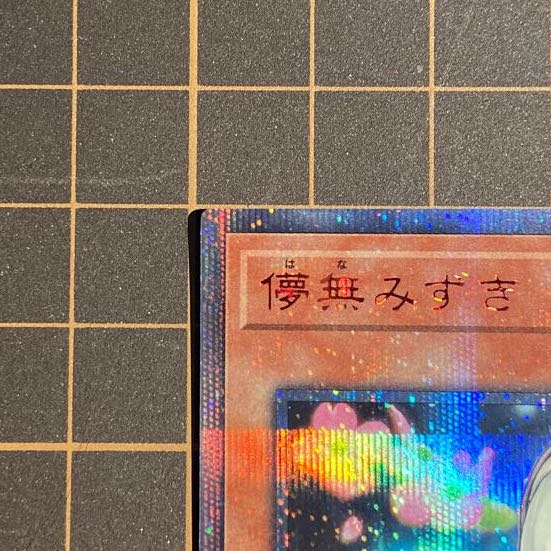 Ghost Sister & Spooky Dogwood 20th Secret Rare 5th Yu-Gi-Oh Provoke