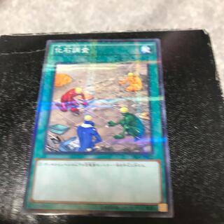 化石調査 パラレル ノーマル