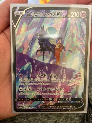 やまちゃん様専用　こくばバドレックスV