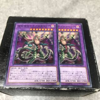 Predaplant Dragostapelia 2 normal