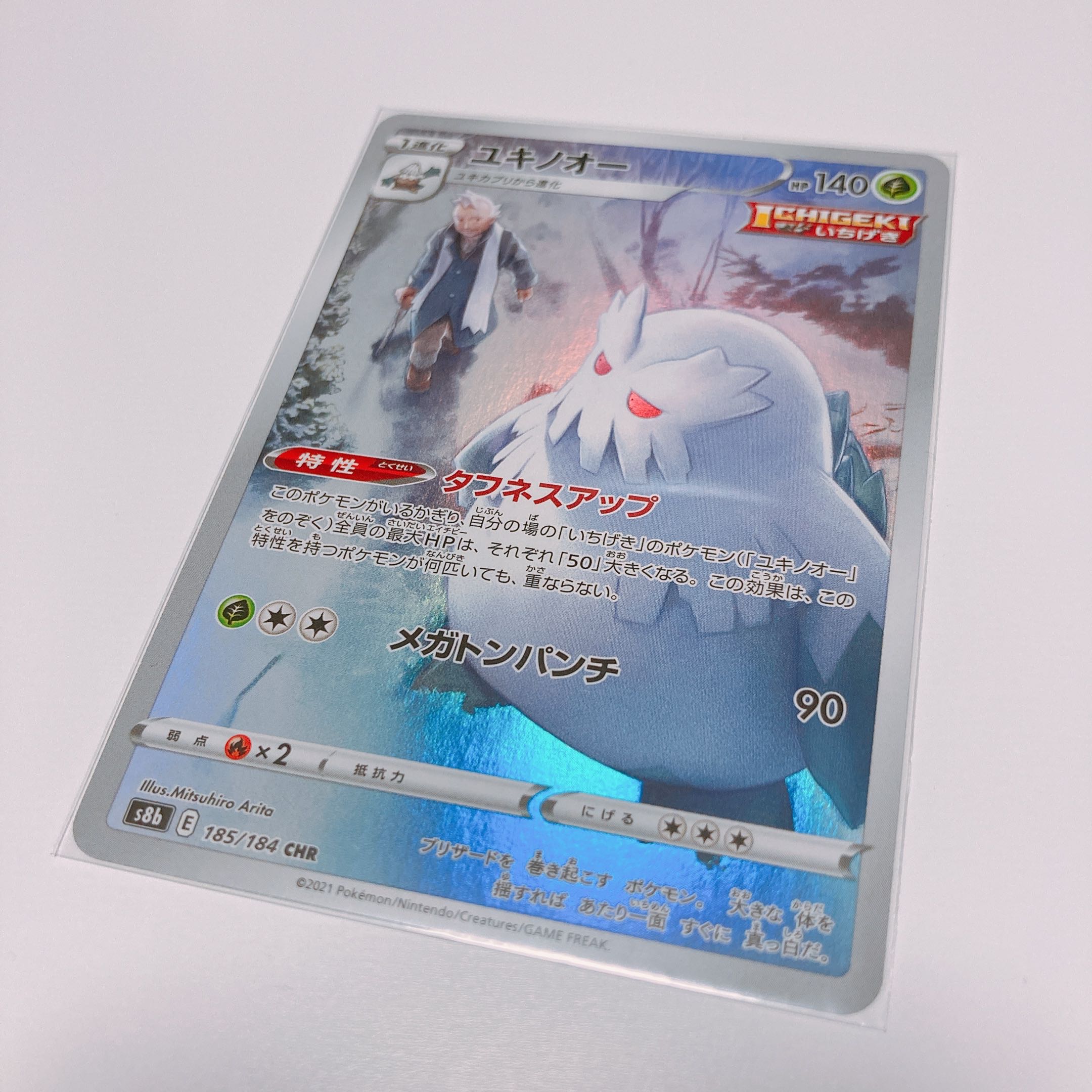 [Exclusive to Gorori] Abomasnow Druddigon CHR