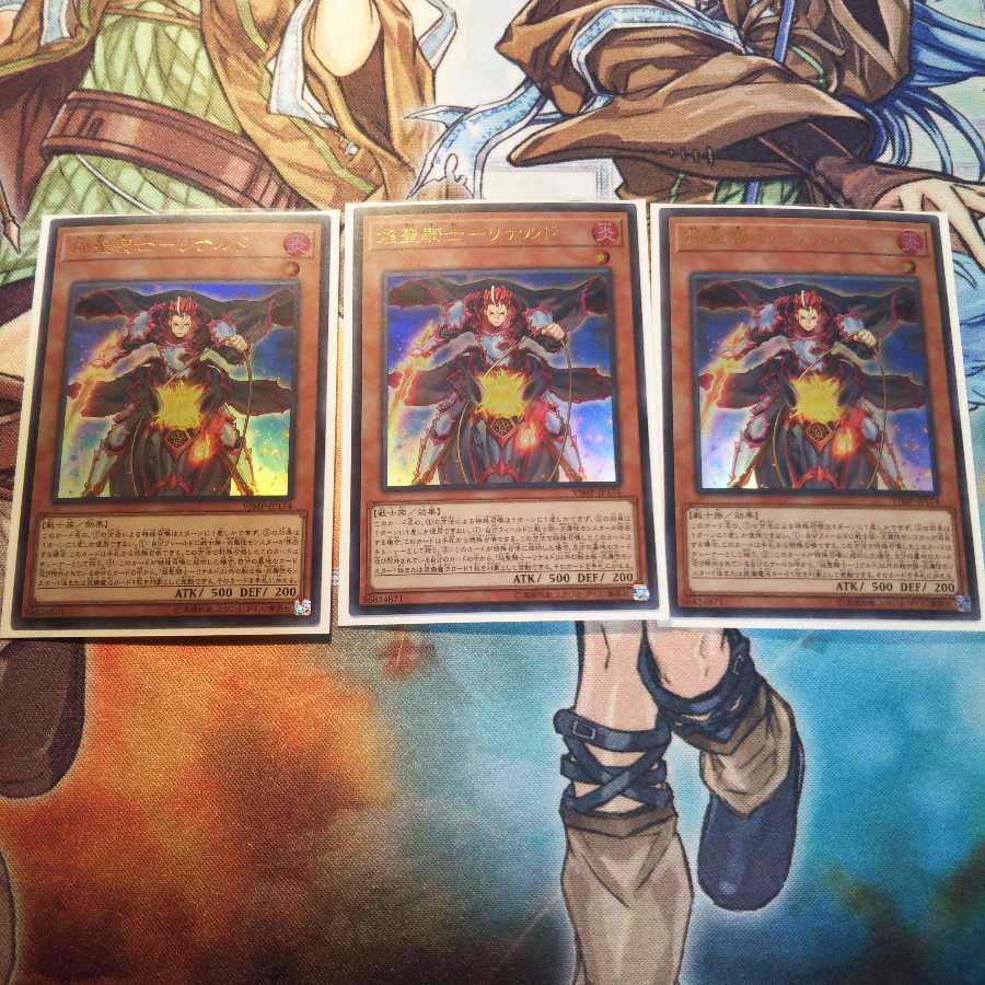 書籍付録 焔聖騎士リナルド３枚 UR