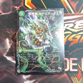 Evil Emperor Axe - Boar Axe|Evil Emperor Ruins - Boaropagos|Gagaki Fang - Velokiboaros