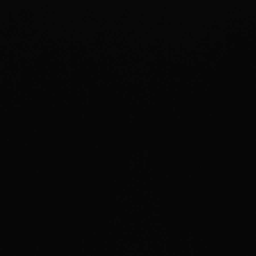 むこうぶち様専用