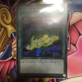 サイバネット・マイニング