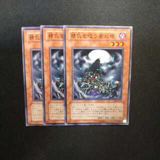 精気を吸う骨の塔 ノーマル