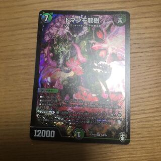 ドマンモ龍樹 SR 1枚