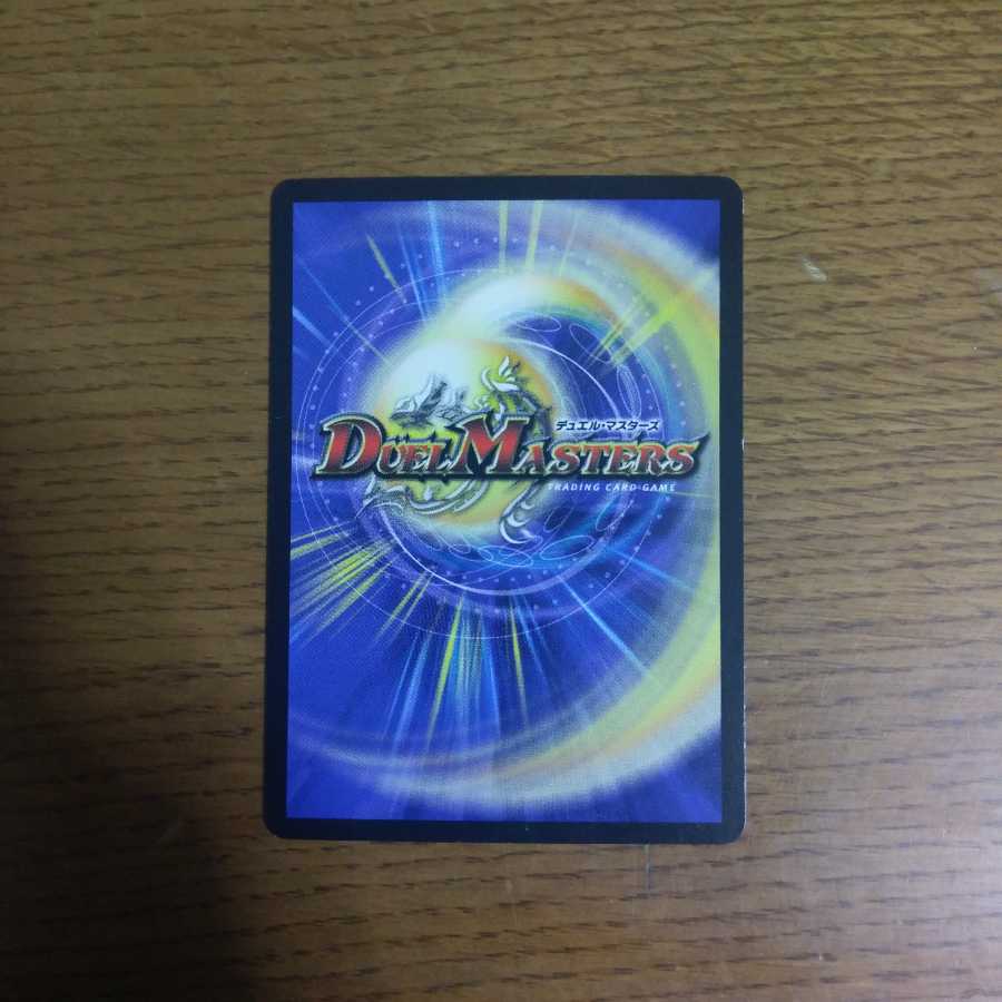 つ様専用暗黒鎧ザロスト