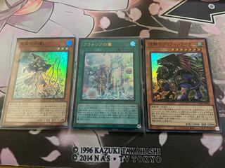 Aramecia's Rite of Separation Gryphon Rider