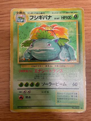 Venusaur old back, unmarked