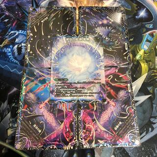 零龍(ゼーロン) 5枚1セット