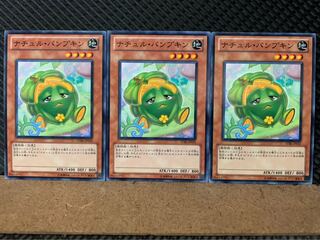 【ぽぽたん】遊戯王 8316 ナチュル・パンプキン 3枚 ノーマル