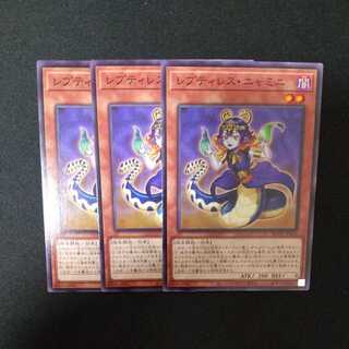 Reptilianne Nyami Normal