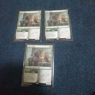 恋煩いの野獣 通常3枚